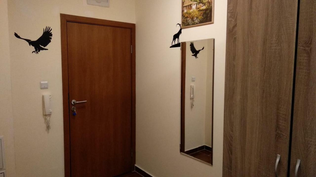 Pine Tree Apartment 2 - B7 Банско Екстериор снимка